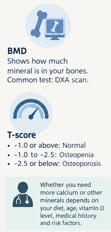 bone details