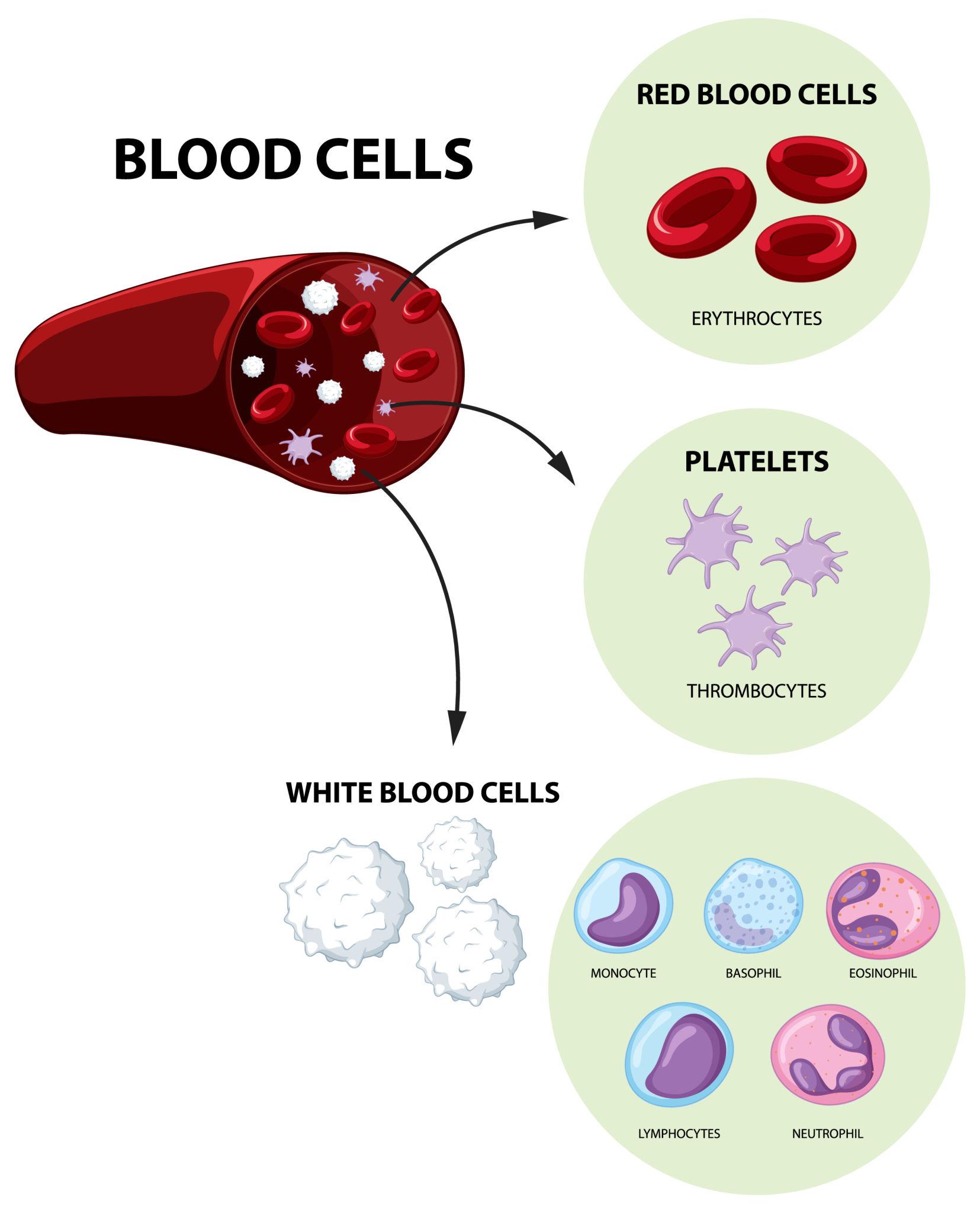 Blood Disorders
