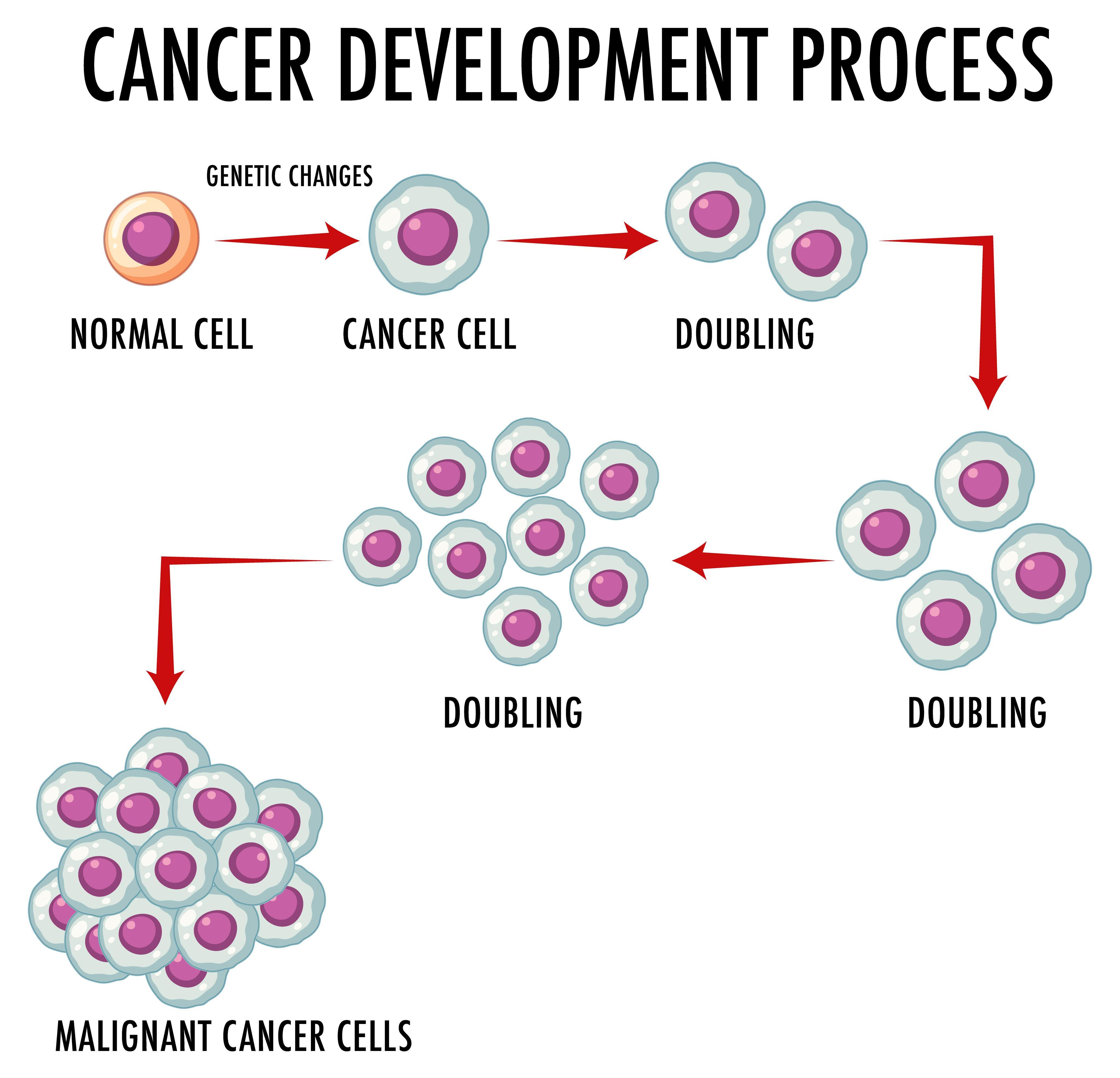 Cancer & Tumour Information